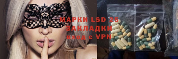 индика Абаза