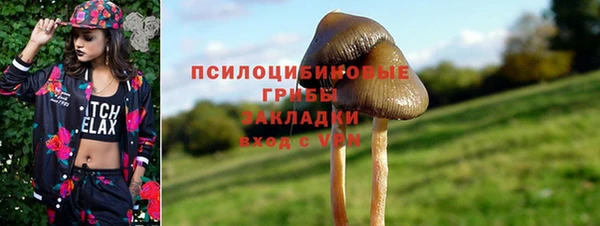 стафф Абинск