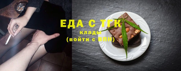 индика Абаза