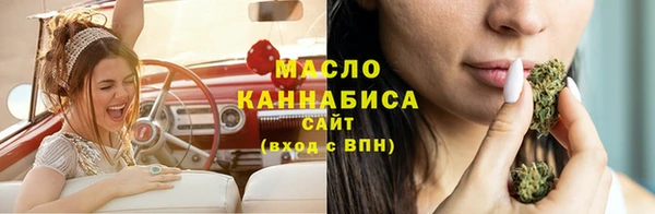 индика Абаза