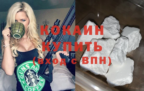 индика Абаза