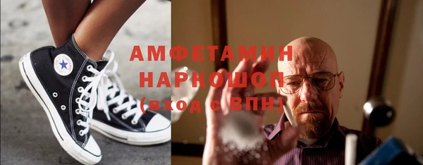 индика Абаза