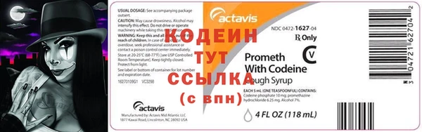 индика Абаза