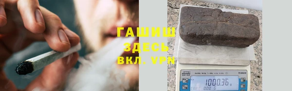 индика Абаза