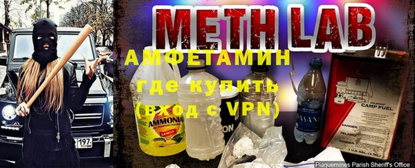 индика Абаза