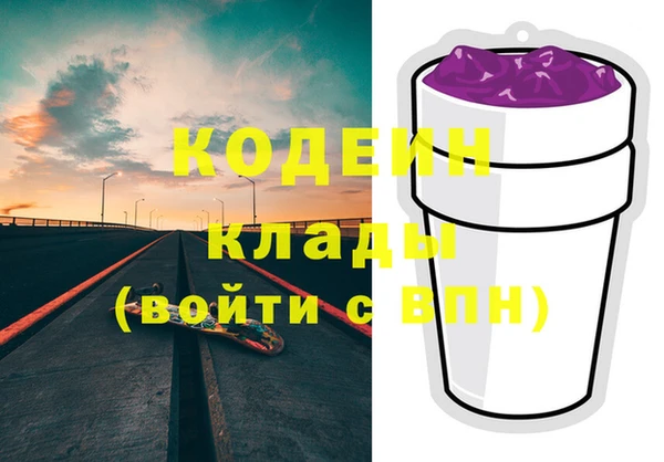 индика Абаза