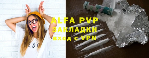 индика Абаза
