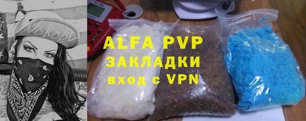 индика Абаза