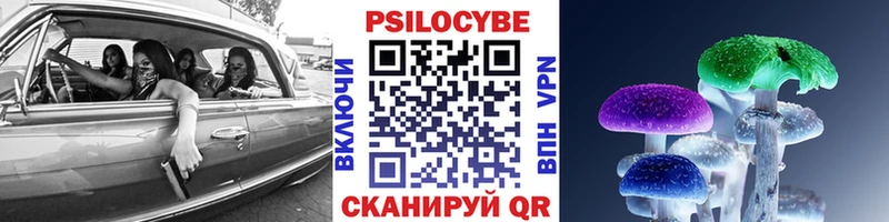 как найти   Усть-Катав  Галлюциногенные грибы прущие грибы 